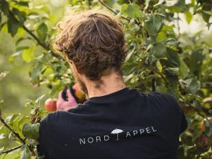 Cider ist Wein, kein Bier — Herstellung und Preis erklärt