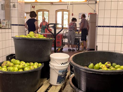 Obst in der Mosterei vor der Presse — hier entsteht der Trester, aus dem die Bäume wachsen