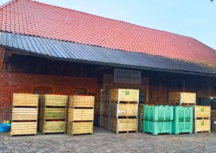 Obstankauf an der Mosterei