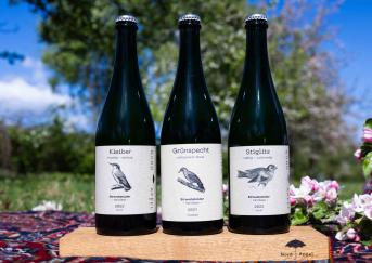 Handlese-Flasche der Nordappel-Vogelreihe