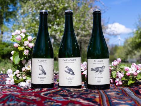Nordappel-Cider — 100 % Frucht, ehrlicher Preis