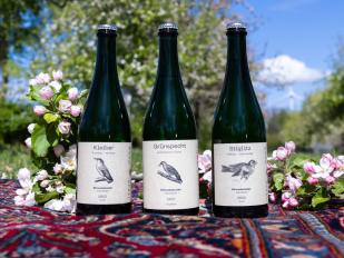 Cider aus Konzentrat oder 100 % Saft — was du wirklich trinkst