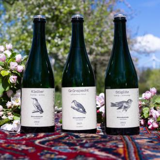 Cider aus Konzentrat oder 100 % Saft