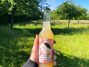 Naturtrüber Apfelsaft: warum der Bodensatz dazugehört