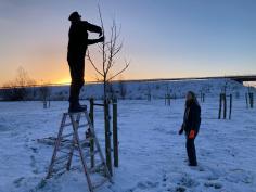 Obstbaumpflege und Fachbetrieb