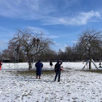 Obstbäume, Wiese und Menschen — Streuobst im Zusammenhang