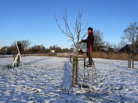 Pflege auf der Streuobstwiese ist Handarbeit