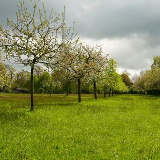 Naturschutz vs. Nutzung