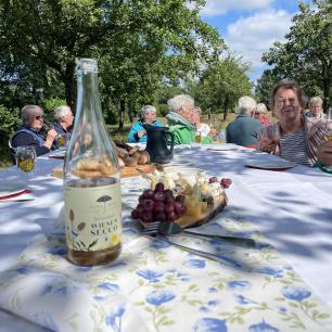 Tasting auf der Wiese: gedeckte Tafel mit WiesenSecco