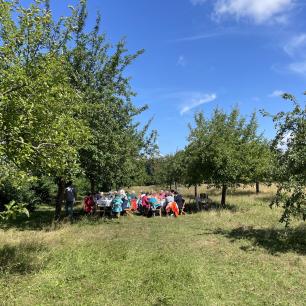 Gruppe auf der Streuobstwiese im Sommer