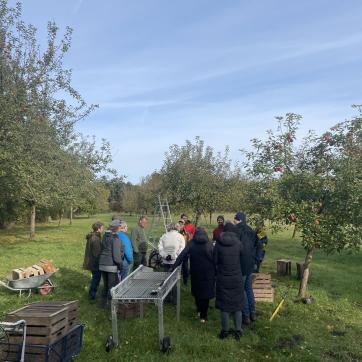 Auf der Streuobstwiese: Gruppe zwischen tragenden Apfelbäumen