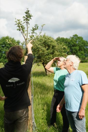 Fachaustausch am Jungbaum auf der Streuobstwiese
