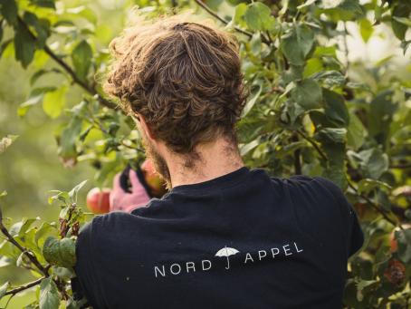 Nordappel kümmert sich