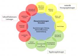 Hochstamm-Deutschland e.V