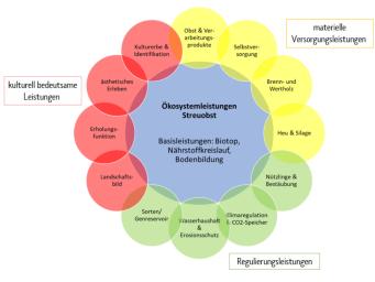 Der Wert von Streuobstwiesen