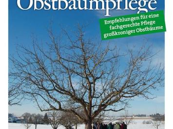 Standards der Obstgehölzpflege