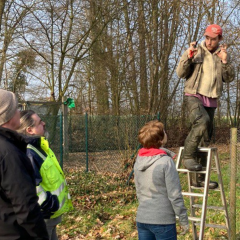 Obstbaumschnittkurs - Jungbaumerziehung